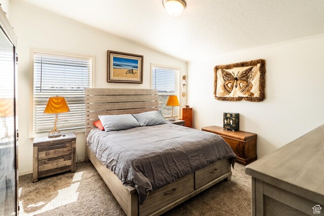 16 E Pearly Ln, La Sal, UT 84530 - carpeted bedroom featuring multiple windows and vaulted ceiling