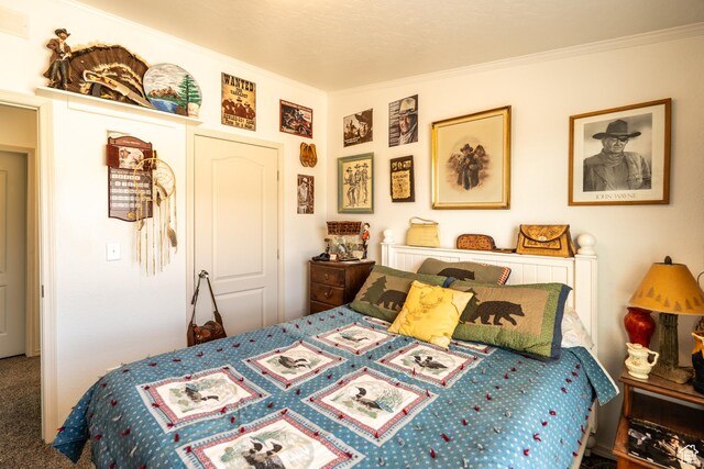 16 E Pearly Ln, La Sal, UT 84530 - bedroom with carpet flooring and ornamental molding