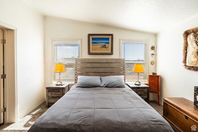 16 E Pearly Ln, La Sal, UT 84530 - bedroom featuring carpet, vaulted ceiling, baseboards, and crown molding