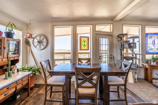 16 E Pearly Ln, La Sal, UT 84530 - dining room featuring plenty of natural light, beamed ceiling, crown molding, dark wood finished floors, and baseboards