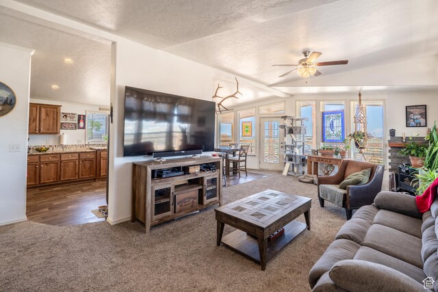 16 E Pearly Ln, La Sal, UT 84530 - carpeted living area with vaulted ceiling, ceiling fan, and a textured ceiling