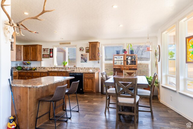 16 E Pearly Ln, La Sal, UT 84530 - kitchen featuring black dishwasher, brown cabinetry, plenty of natural light, dark wood-style flooring, and recessed lighting