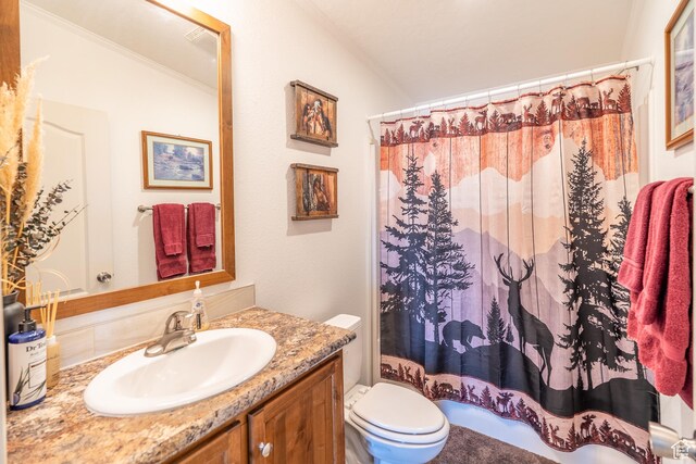 16 E Pearly Ln, La Sal, UT 84530 - bathroom featuring vanity, toilet, and ornamental molding