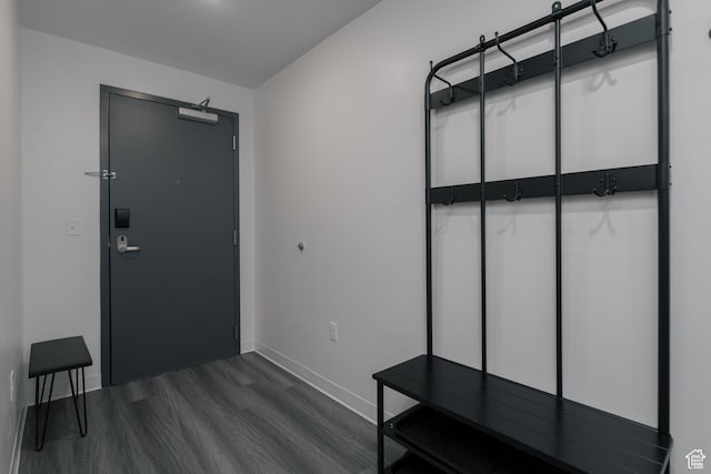 2670 Canyons Resort Dr Unit 113, Park City, UT 84098 - mudroom with baseboards and dark wood-style flooring