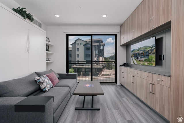 2670 Canyons Resort Dr Unit 113, Park City, UT 84098 - living room featuring light wood finished floors