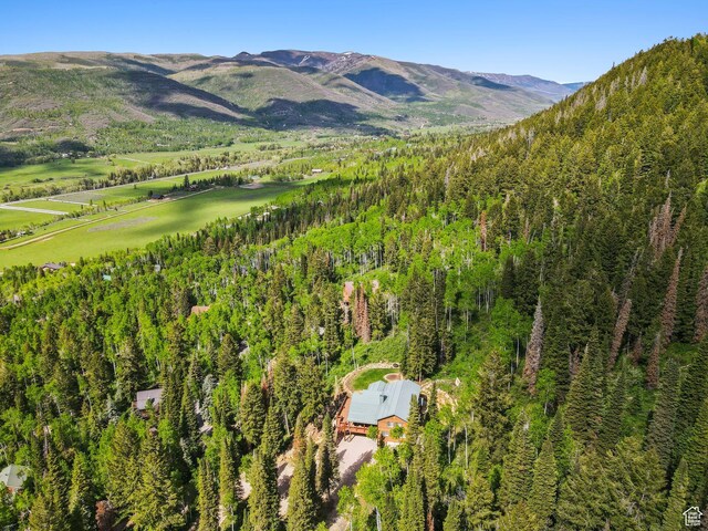 4708 Red Fir Way, Oakley, UT 84055 - mountain view featuring a forest