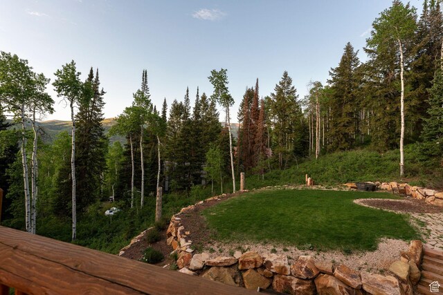 4708 Red Fir Way, Oakley, UT 84055 - view of green lawn