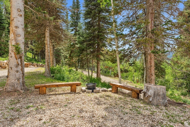 4708 Red Fir Way, Oakley, UT 84055 - view of yard featuring a forest view