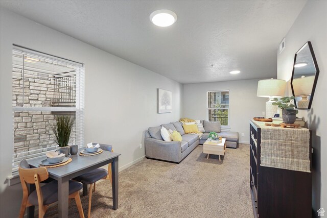 67 W 600 S Unit B204, Springville, UT 84663 - living area featuring light carpet and baseboards