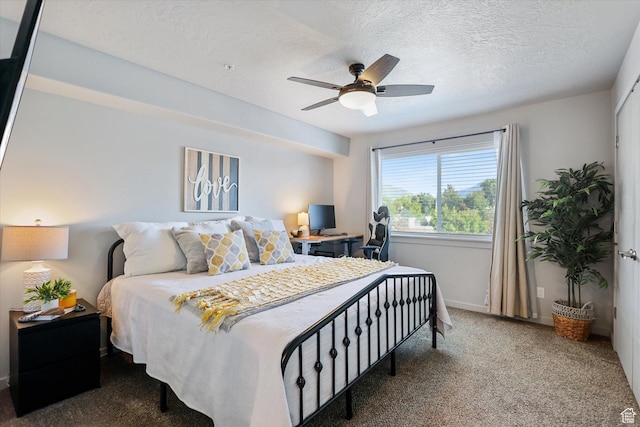 67 W 600 S Unit B204, Springville, UT 84663 - carpeted bedroom with a ceiling fan, baseboards, and a textured ceiling