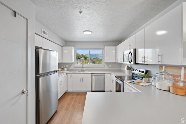 67 W 600 S Unit B204, Springville, UT 84663 - kitchen featuring appliances with stainless steel finishes, a sink, light countertops, light wood-style flooring, and white cabinets