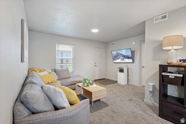 67 W 600 S Unit B204, Springville, UT 84663 - carpeted living room featuring baseboards
