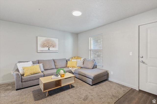 67 W 600 S Unit B204, Springville, UT 84663 - living area with baseboards and wood finished floors