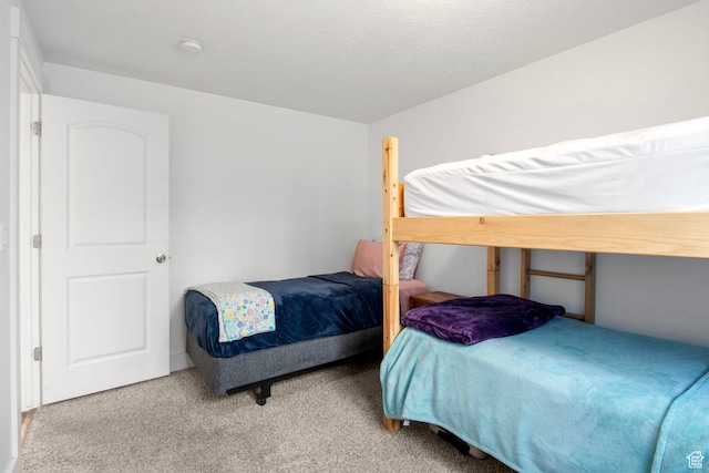432 W 1470 N, Tooele, UT 84074 - view of carpeted bedroom