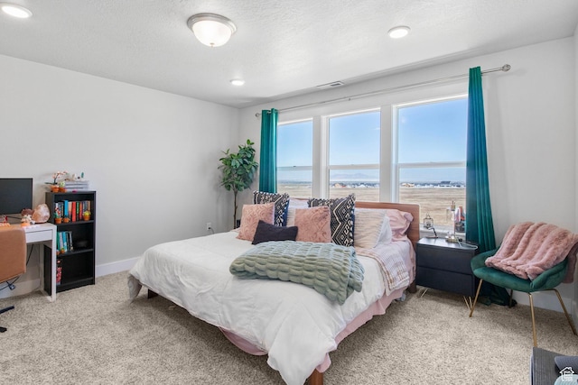 432 W 1470 N, Tooele, UT 84074 - carpeted bedroom with baseboards and recessed lighting