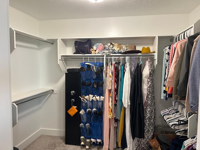 432 W 1470 N, Tooele, UT 84074 - walk in closet featuring carpet floors