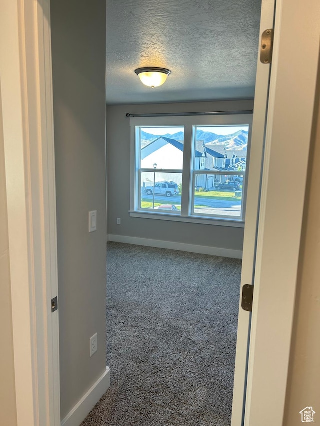 432 W 1470 N, Tooele, UT 84074 - carpeted spare room with baseboards and a textured ceiling