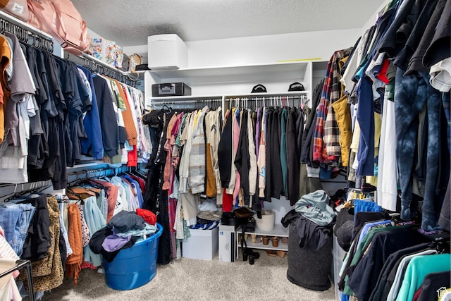 432 W 1470 N, Tooele, UT 84074 - walk in closet featuring carpet