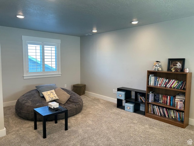 432 W 1470 N, Tooele, UT 84074 - living area with carpet flooring, recessed lighting, and a textured ceiling