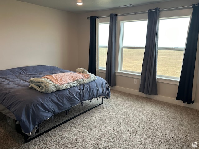 432 W 1470 N, Tooele, UT 84074 - carpeted bedroom with baseboards