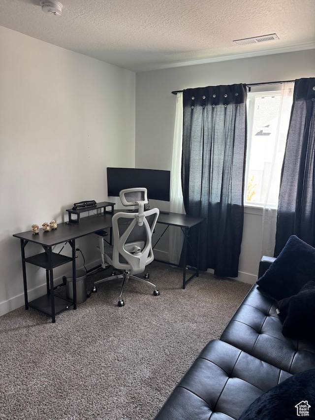 4569 W Ruple Ridge Ln S, Herriman, UT 84096 - office area with carpet floors, a textured ceiling, and baseboards