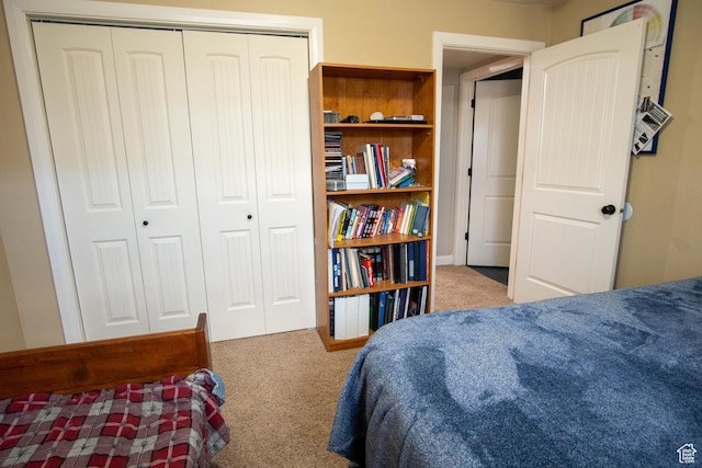 286 E 850 N, Richfield, UT 84701 - bedroom with carpet flooring and a closet