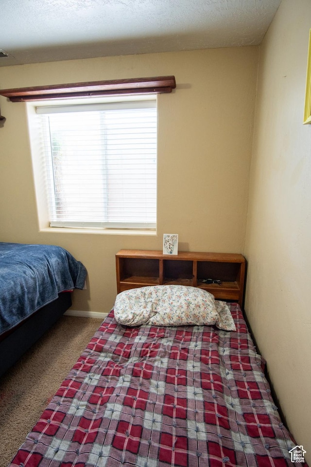 286 E 850 N, Richfield, UT 84701 - view of carpeted bedroom