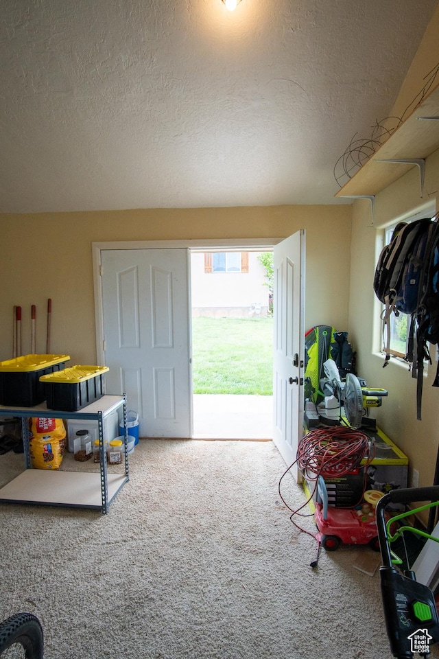 286 E 850 N, Richfield, UT 84701 - interior space featuring carpet flooring, plenty of natural light, and a textured ceiling
