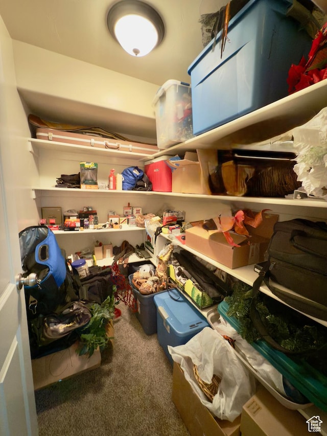 3322 N 750 E, Lehi, UT 84043 - view of storage