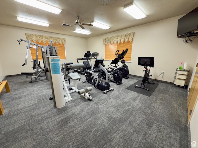 3322 N 750 E, Lehi, UT 84043 - gym featuring ceiling fan, carpet, and baseboards