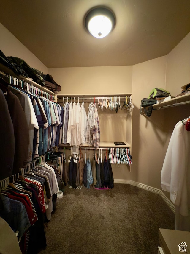 3322 N 750 E, Lehi, UT 84043 - walk in closet with carpet flooring