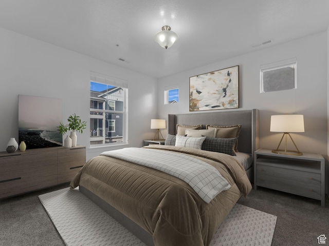 14569 S Bloom Dr W Unit L204, Herriman, UT 84096 - bedroom with dark colored carpet