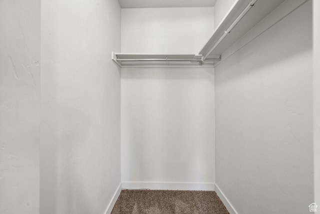 14394 S Oakfield Way, Herriman, UT 84096 - walk in closet featuring carpet floors