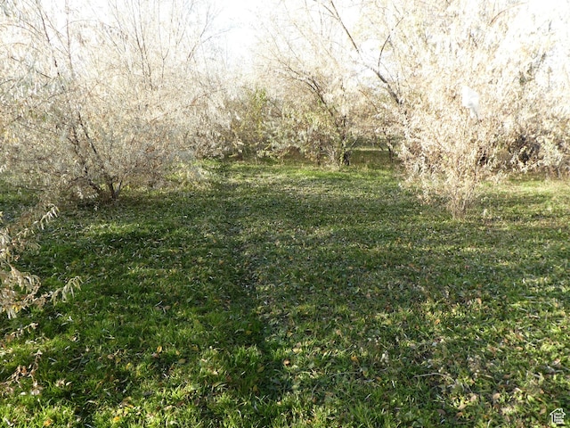 8260 N Mountain View Rd, Lake Point, UT 84074