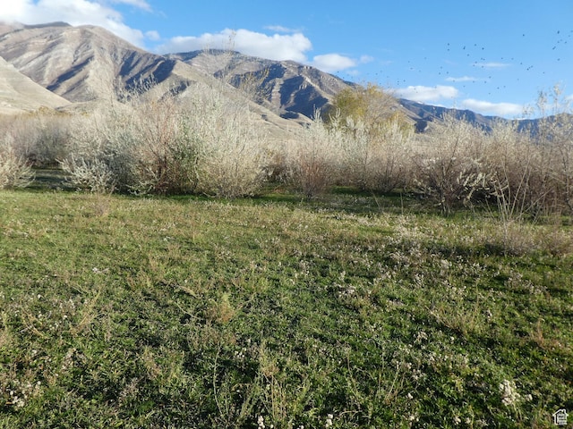 8260 N Mountain View Rd, Lake Point, UT 84074
