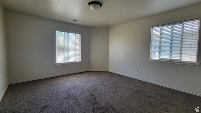 581 S 910 W Unit 86, Pleasant Grove, UT 84062 - spare room featuring healthy amount of natural light, carpet floors, a textured ceiling, and baseboards