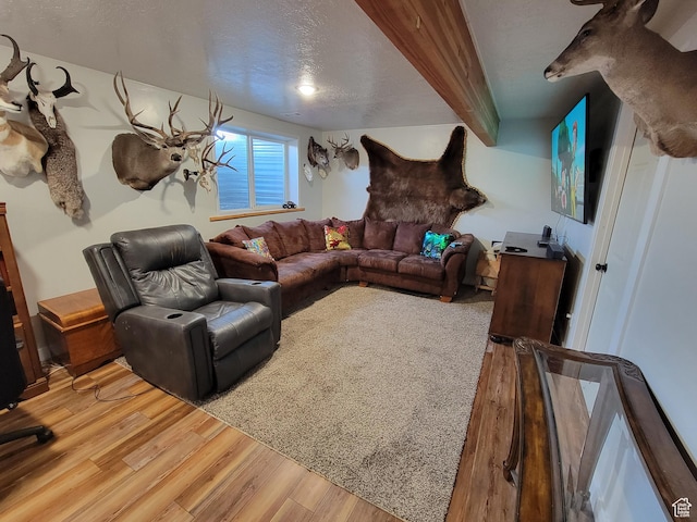 264 W 550 N, Santaquin, UT 84655 - living room with light wood-style floors and a textured ceiling