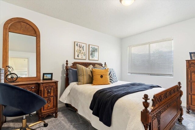 8697 Willow Green Cir, Sandy, UT 84093 - photo 47