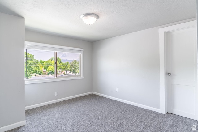 289 E 4800 S, Murray, UT 84107 - empty room with carpet floors, a textured ceiling, and baseboards