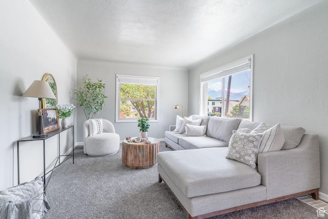 289 E 4800 S, Murray, UT 84107 - carpeted living room with baseboards