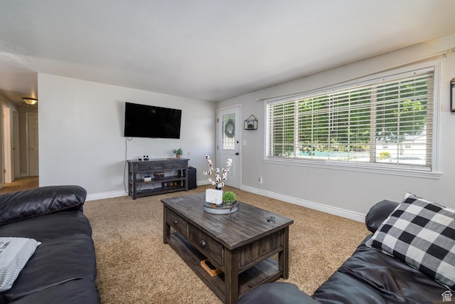 392 N 600 E, Roosevelt, UT 84066 - living room featuring carpet floors, plenty of natural light, and baseboards