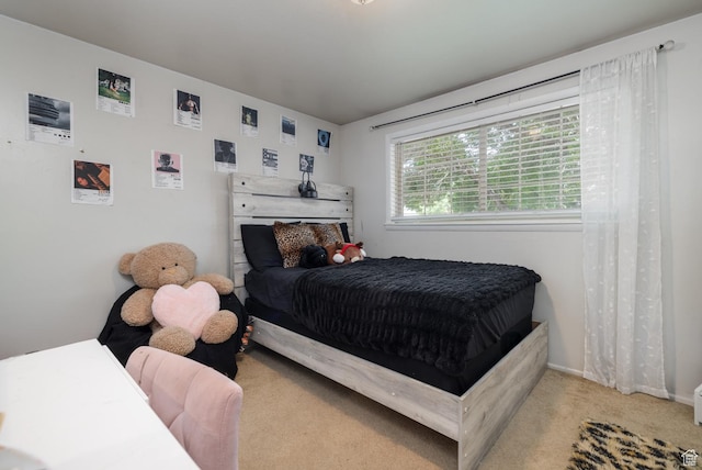 392 N 600 E, Roosevelt, UT 84066 - bedroom featuring carpet floors and baseboards