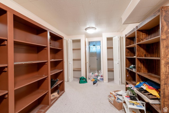 3695 S 2140 E, Salt Lake City, UT 84109 - view of storage