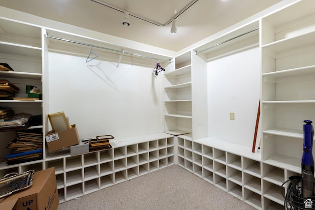 3695 S 2140 E, Salt Lake City, UT 84109 - spacious closet featuring carpet flooring