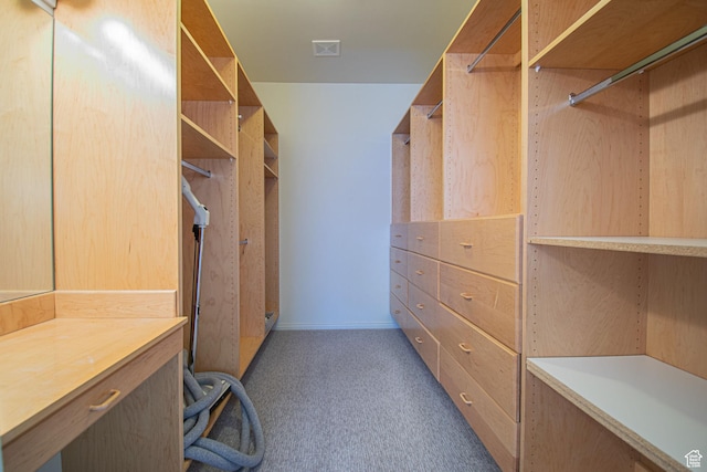 584 S Oak Ln, Tooele, UT 84074 - walk in closet with carpet