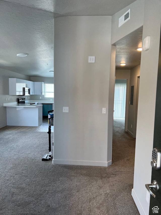 1140 W 950 N Unit C401, Orem, UT 84057 - carpeted spare room featuring plenty of natural light, baseboards, a textured ceiling, and a smoke detector