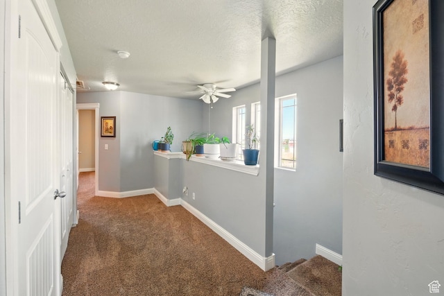 1587 N 565 W Unit 101, Logan, UT 84341 - corridor featuring carpet floors, a textured ceiling, and baseboards