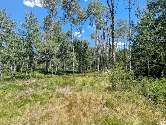 10579 E Fir Run Dr Unit 735, Heber City, UT 84032 - photo 1