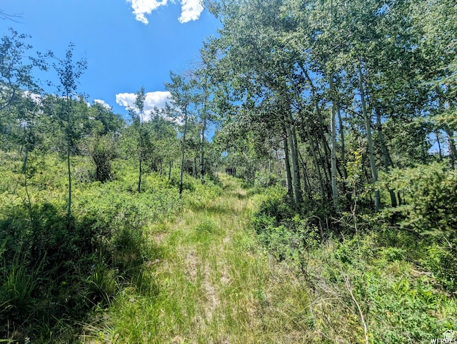 10579 E Fir Run Dr Unit 735, Heber City, UT 84032 - photo 2