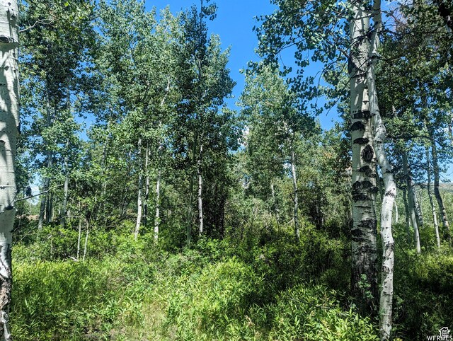 10579 E Fir Run Dr Unit 735, Heber City, UT 84032 - photo 7